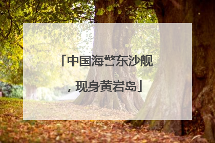 中国海警东沙舰，现身黄岩岛